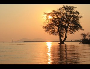 zimbabwe_001_by_diddydave-d5c485l