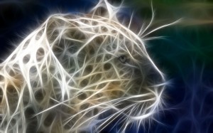 energy_leopard_by_Prife7