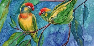 parrots