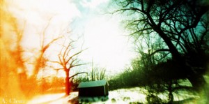shed